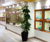 ペットショップ