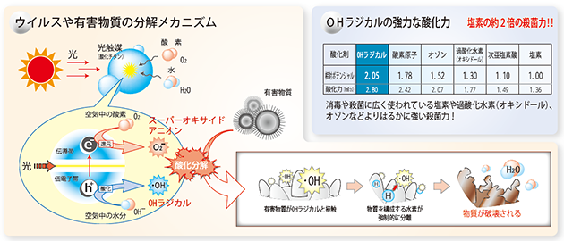 分解のメカニズム